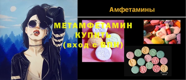 крисы Верхний Тагил