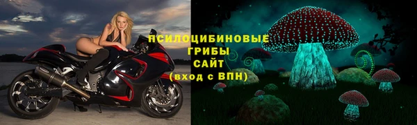 сатива Верхнеуральск