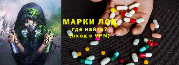 крисы Верхний Тагил