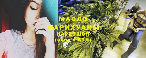 крисы Верхний Тагил