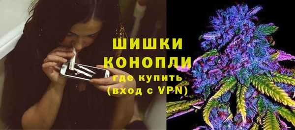 крисы Верхний Тагил