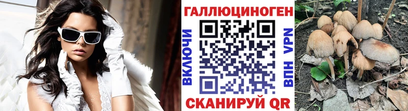 Псилоцибиновые грибы мицелий  Купить закладки  Кировск 